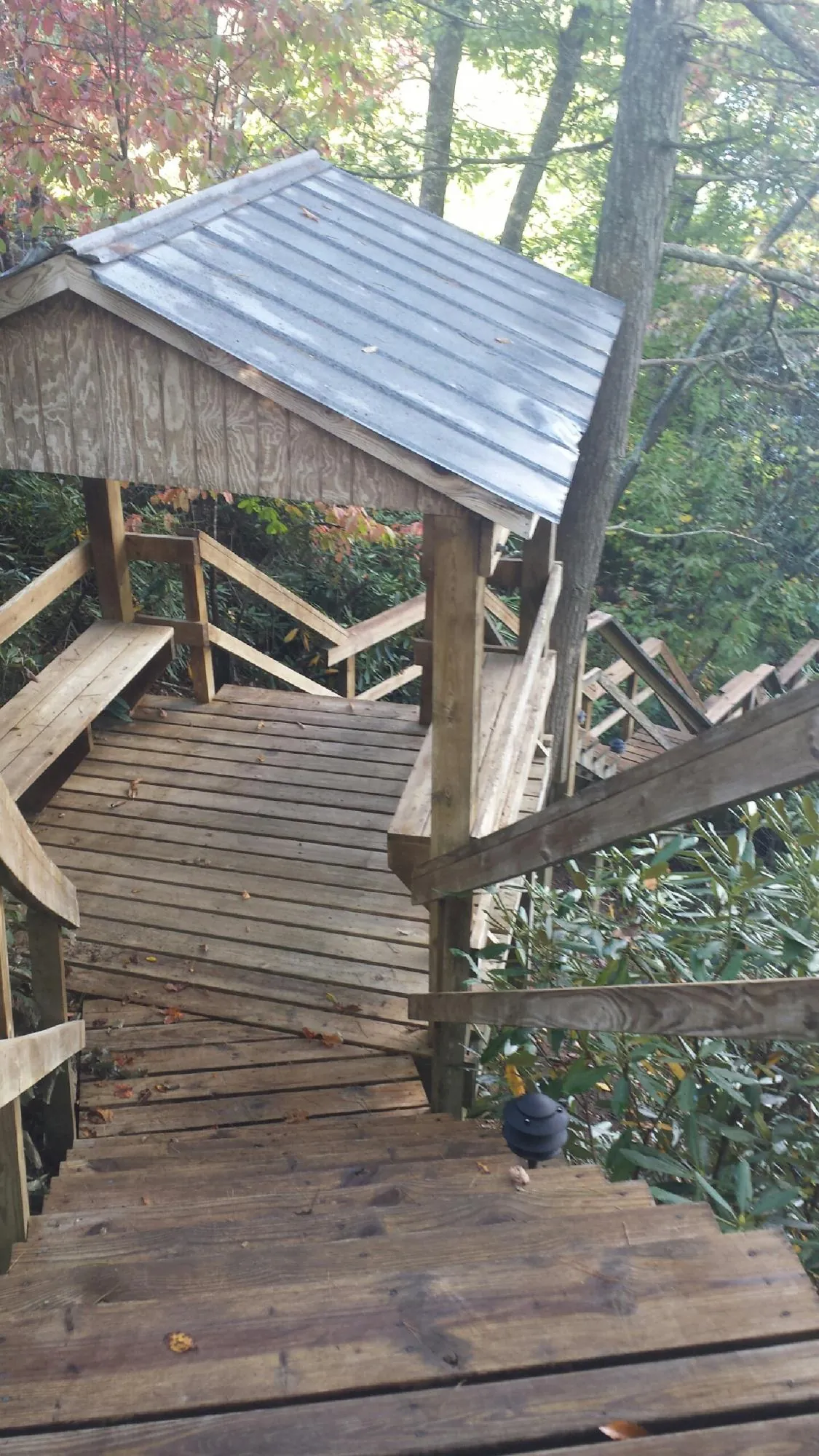 Metal roofed shelter over wooden steps on a wooded walkway — Skylight Repair & Installation work by our crew in Napavine
